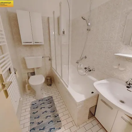 Apartmán Regina Bad Mitterndorf